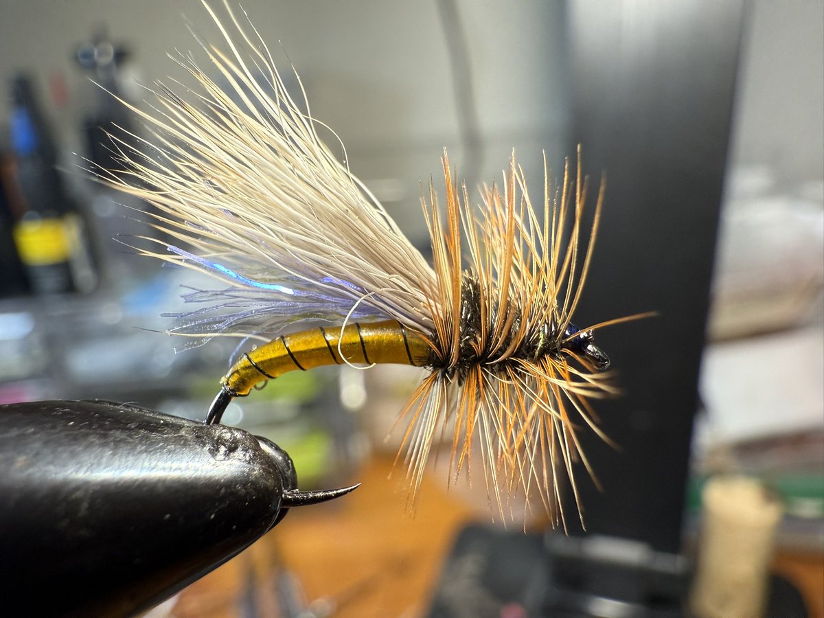Size 14 floss/resin Mini Hot #flyfishing #troutfishing #fish #fishing #trout #wildtrout #troutfly #nymph #coloradotrout #coloradofishing #coloradoangler #catchandrelease #dryfly #dryflyfishing #nymphfishing #flytyingjunkie #flytyingphotography #flytying