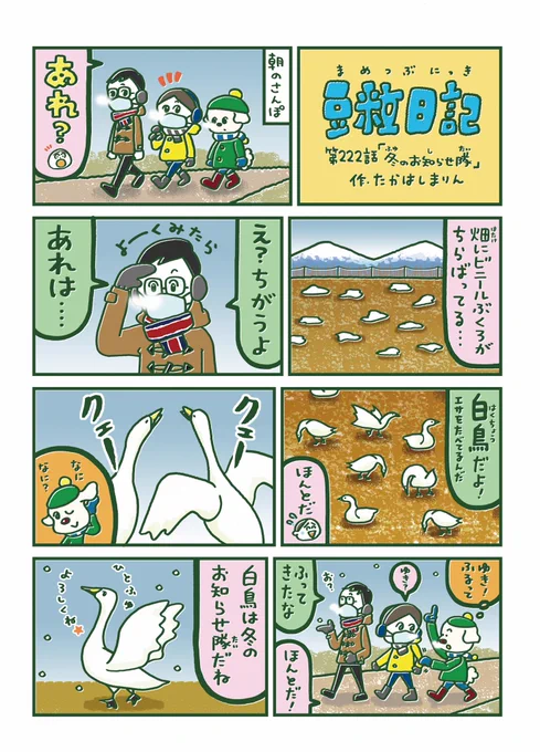 【豆粒日記 第222話】白鳥を見ると冬だなぁと感じます🦢 #十勝毎日新聞 #豆粒日記 