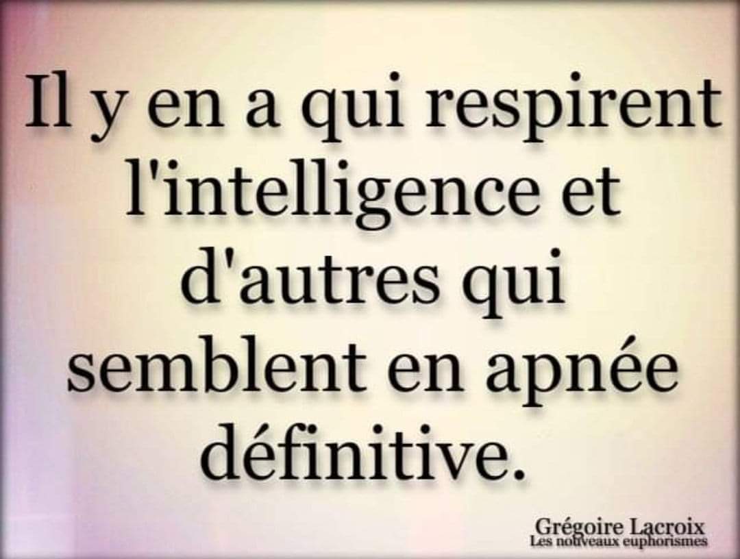 🇨🇵Nathalie Delalande🌿 tweet media