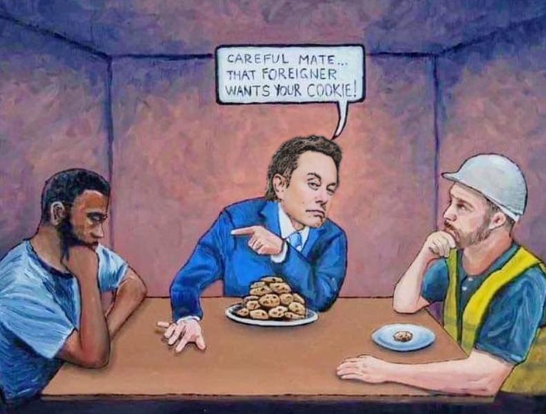 Anonymous tweet media