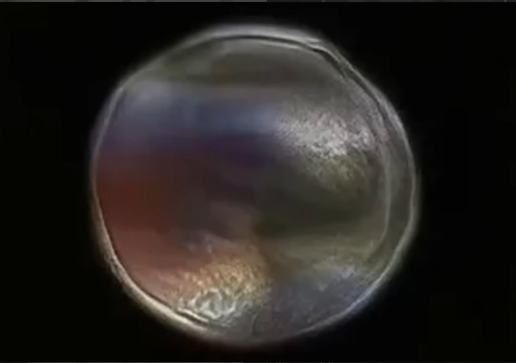 Kevins_1323's tweet photo. New UFO Footage DEC 2024 New Jersey Orb (UFO UAP Drone) Footage just released up close footage of a glowing orb. This is no drone people! #REALUFO #UFO2024 #ETphonehome #dronesightings @ashtonforbes #NewJerseyUFO https://t.co/9MMh3lLHdT