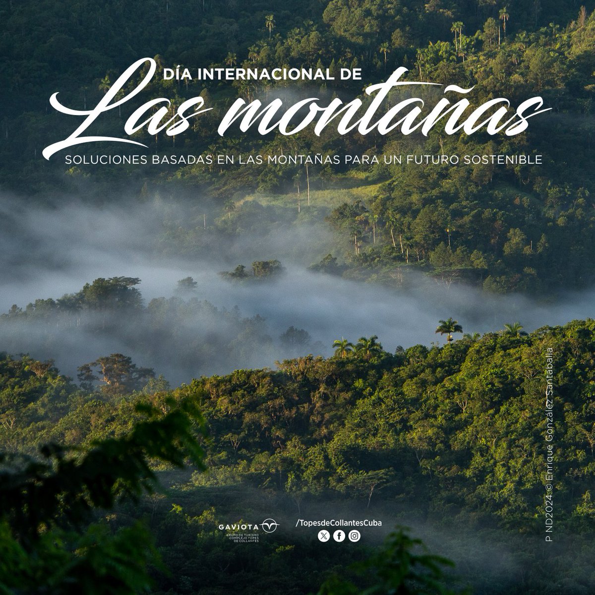 📣¡Día internacional de las montañas!⛰️

🏞Este año el objetivo de la fecha es centrarse en soluciones innovadoras, fomentar estrategias de adaptación y empoderar a la juventud para lograr un futuro sostenible.🙌

📸Enrique González Santaballa
#TopesDeCollantes #DestinosGaviota