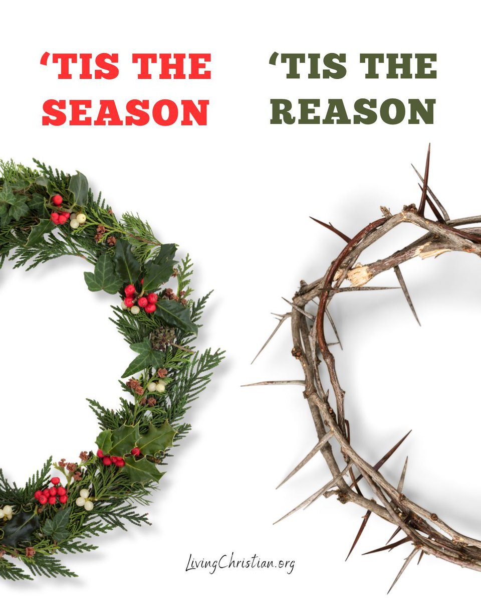 livechristian1's tweet photo. Make sure you are celebrating the real reason for the season! https://t.co/gknvJ6fYoC