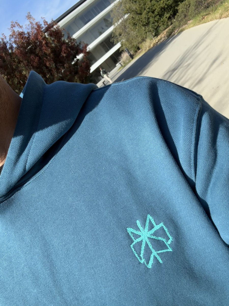 It’s still wild to me that <a href="/perplexity_ai/">Perplexity</a> dropped the best hoodie of 2024