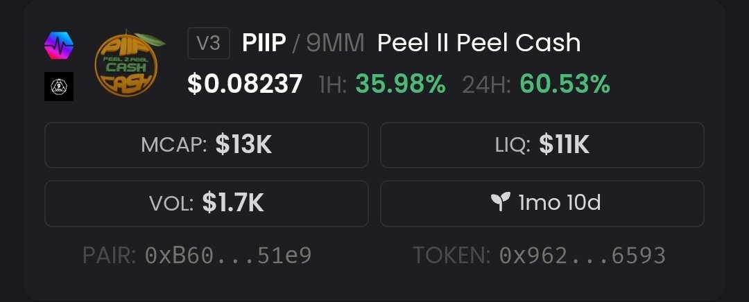$HOA got single-side staking before PulseX. 

$PIIP/#9mm full-range LP 2% fee tier. 

Mint PIIP. Sell half for 9mm. Add. 

🍊🤝🔫