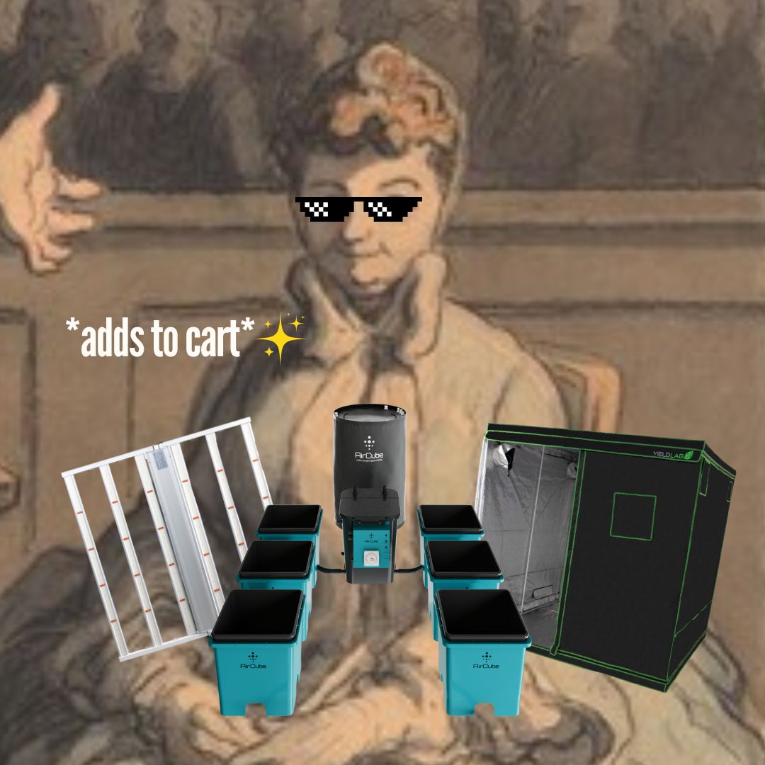 Grow Ace tweet media