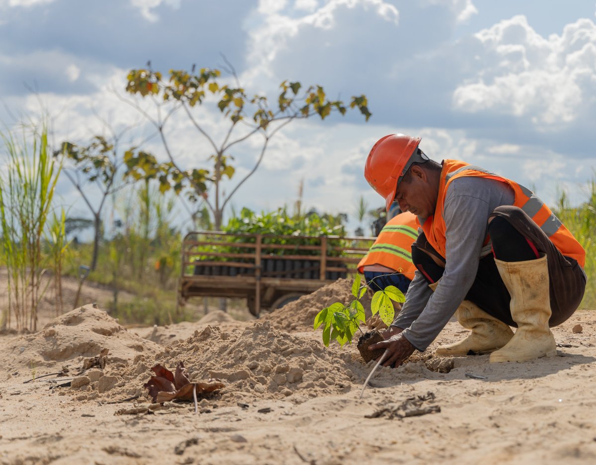 PureEarthPeru's tweet image. #Mañana 8:30 am 📢 Únete a nosotros para conocer los resultados del proyecto #MineríaVerde, una iniciativa financiada por la compañía joyera @BrilliantEarth, implementado por #PureEarthPerú y con el apoyo de @responsiblemine.