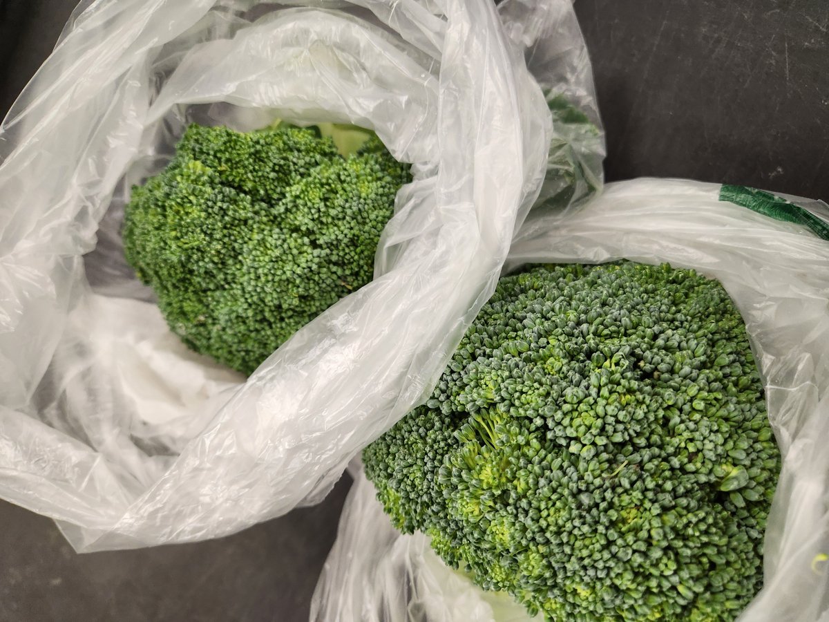 We are thrilled with this week's delivery of fresh produce donated by JP Mascaro &amp; Sons. Thank you! Clients can make their selections during open pantry hours- 9:30am–12:15pm (Tues, Thurs, and Fri) and 2:00pm–6:15pm (Wed). To donate, please visit pottstowncluster.org/2024yearenddon….