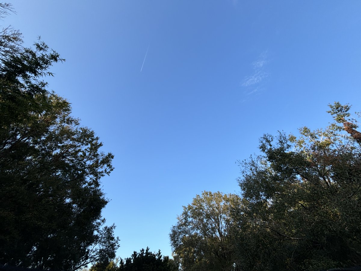 BrooksWeather's tweet image. And there it is! 4:30pm and not a cloud in the sky. #GoodForecast :) #flwx