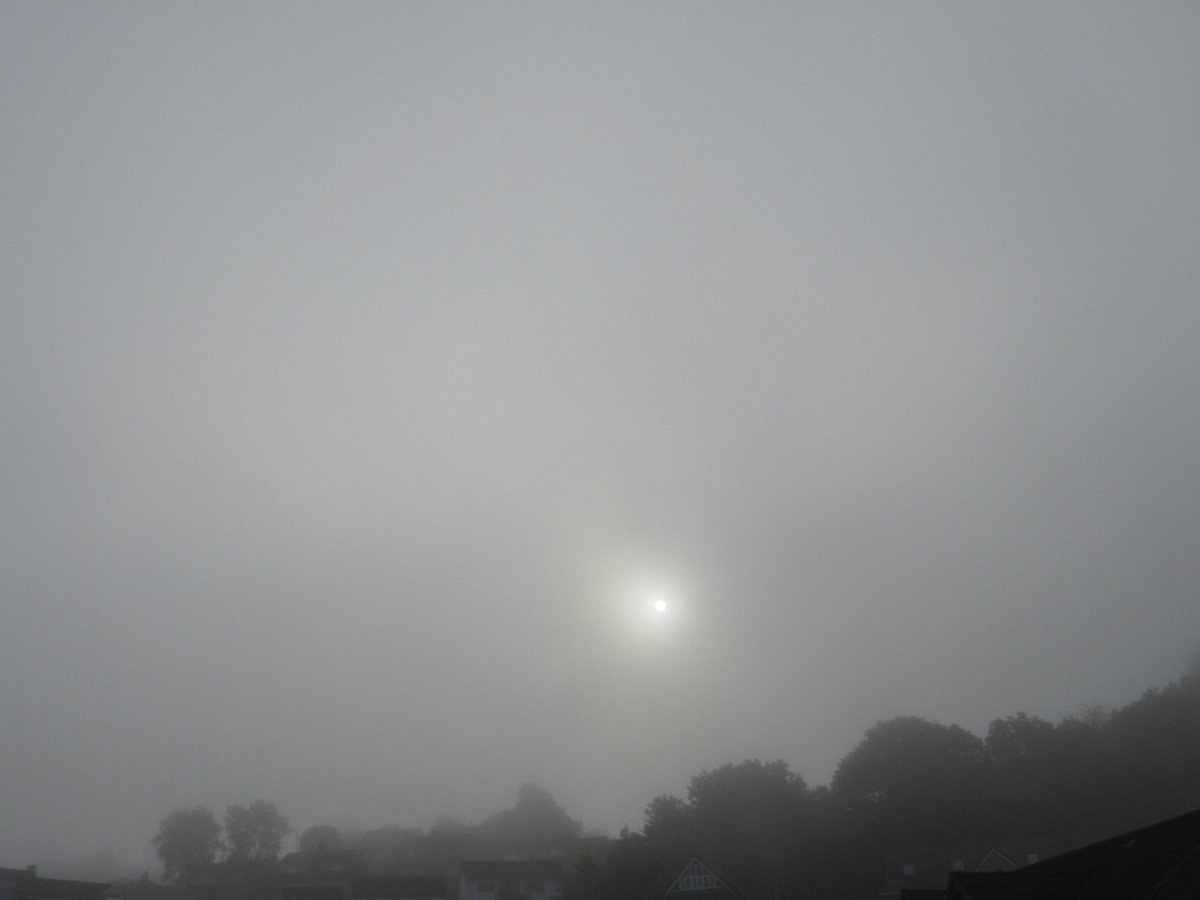 ChloeJane15's tweet image. Embrace the winter magic as the sun breaks through the fog casting a golden glow over the city❄️✨
#WinterVibes #CityMagic #GoldenHour #FoggyEvening #EmbraceTheSeason #WinterGlow