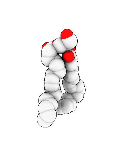 SudiptaCCMB's tweet image. Diacylglycerol (DAG): A simple #lipid with complex roles! 🧬From #membrane shaping to #cellularsignaling, DAG is a key player inside the cell. Our review explores DAG #metabolism and #regulation in yeast models 👉
doi.org/10.1093/femsyr… 
@Sankar_Lab @sankarfr1 @bisu21