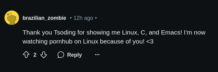 tsoding's tweet photo. The feedback that keeps me going ❤️ https://t.co/b0pgNnQ4ph