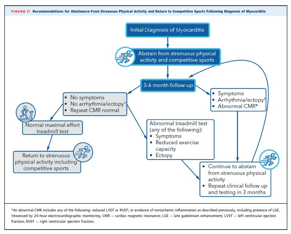 Edgardo Alania (@ed_alania) on Twitter photo š“ 2024 ACC Expert Consensus Decision Pathway on Strategies & Criteria for the Diagnosis & Management of Myocarditis <a href="/JACCJournals/">JACC Journals</a> #cardioEd #cardiology #myocarditis #FOAMed <a href="/ACCinTouch/">American College of Cardiology</a> š“ 2024 ACC Expert Consensus Decision Pathway on Strategies & Criteria for the Diagnosis & Management of Myocarditis <a href="/JACCJournals/">JACC Journals</a> #cardioEd #cardiology #myocarditis #FOAMed <a href="/ACCinTouch/">American College of Cardiology</a>