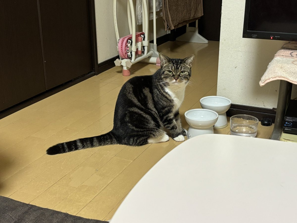 marukotokinako tweet picture