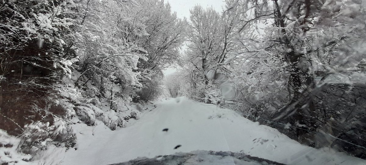 coopyrene's tweet photo. Dies de neu, fred i mal temps.
Passem a mode hivern 🥶

El nostre dia a dia canvia de prioritats.
Que el bestiar s'alimenti i begui. I si hi  ha naixaments, a cobert! https://t.co/uzV64rt8jE