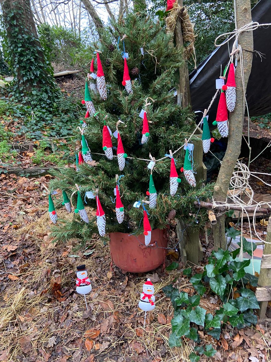 St Peter's C of E Primary School, Farnham tweet media