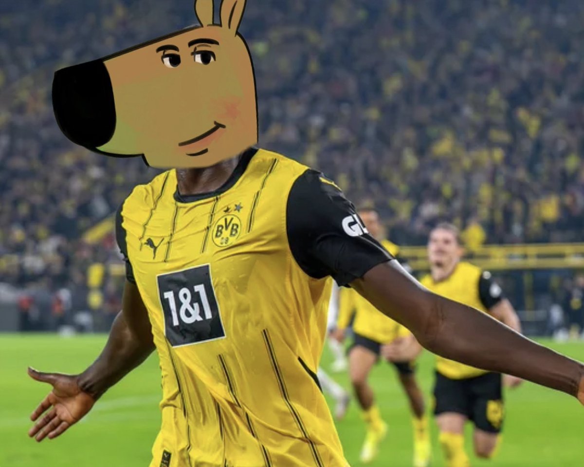 chillguycto's tweet photo. just a chill guy. https://t.co/HiDXLE3e2t