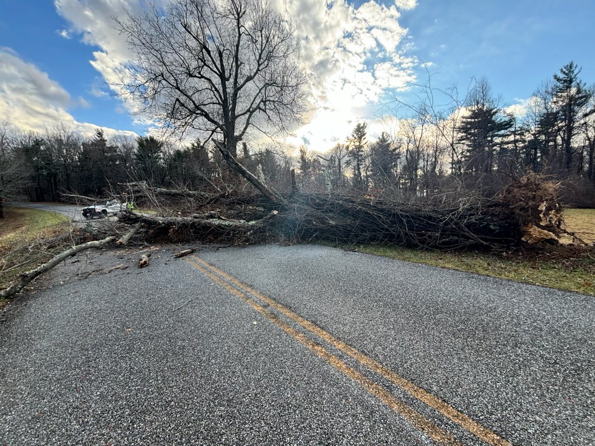 BlueRidgeNPS's tweet image. Did you know that we make winter weather closure decisions based on the forecast? Park staff know that although snow may not be actively falling, cold temperatures and strong winds lead to additional hazards. This tree fell today in a closed section. Good call!