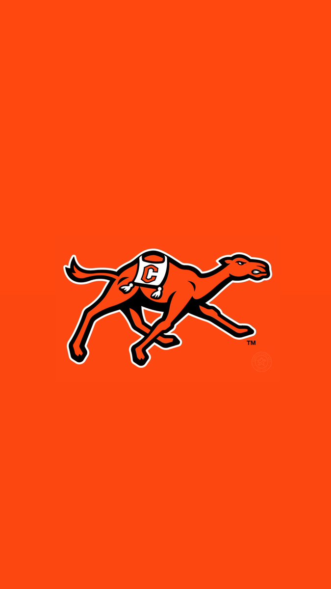 terahitiwolfe1's tweet photo. Blessed to receive my second D1 offer to Campbell University #JUCOPRODUCT

@Resean_Bowens @Solmatix7 @NihoaPule @man86252 https://t.co/UDr0KavVh2