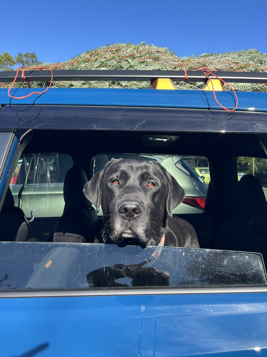 Kathy & Cooper 🏳️‍🌈💙🇺🇦 🇨🇦 tweet media
