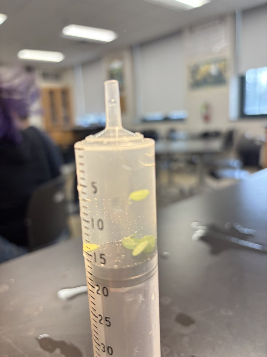 Two guesses as to how I’m spending Thursday and Friday…#IYKYK #APBio <a href="/AVLCitySchools/">Asheville City Schools</a> <a href="/ACS_SILSA/">SILSA</a>