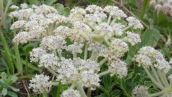 honky_tonk's tweet image. Consciousness is first.
Shape is second.

意識が先。
形は二番目。
#consciousness #意識 #externalization #外化 #manifestation #現れ