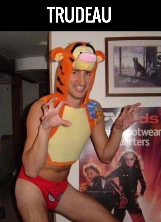 gaijin0311's tweet photo. @guelphgirlchris You must be so proud of your fearless leader. 🤣🤣🤣 https://t.co/0DoMC8nYON