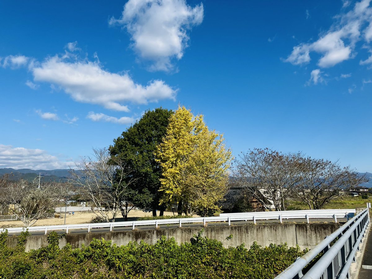 秋ならではのコントラスト
多良木町近辺