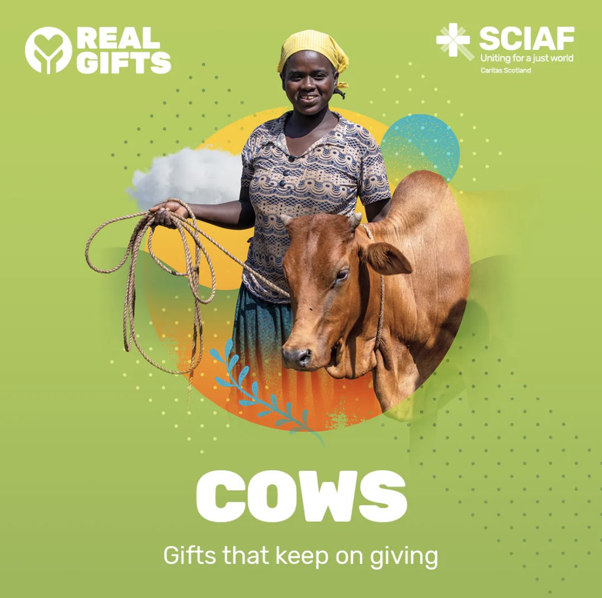 St Matthew's Academy Positive Destinations tweet media