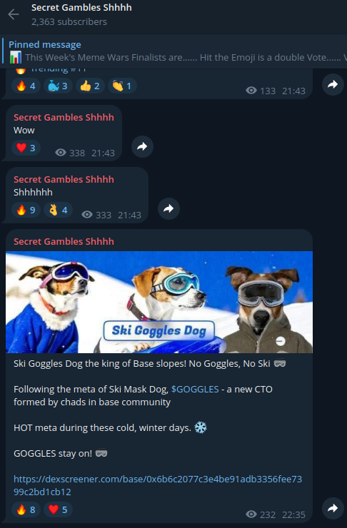 Ski Goggles DOG tweet media