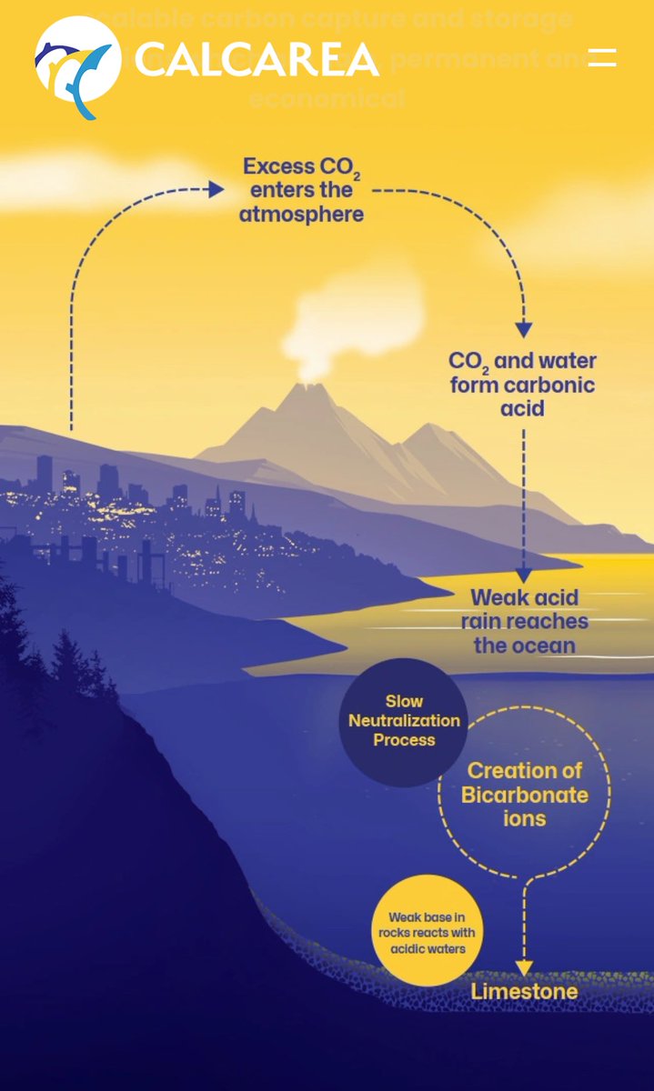#AGU24 Emiliani Lecture by Jess Adkins:  “Paleoclimate in the service of our climate crisis”

From the rate law for carbonate dissolution to a chemical engineering solution to climate change - removing emissions from shipping (3% of global)

calcarea.com