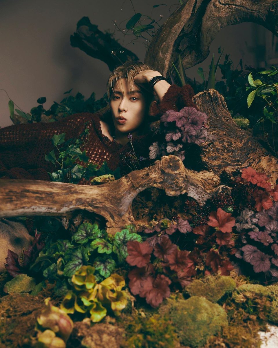 hourly jaehyun tweet media