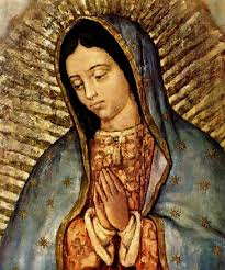 catolicos_es's tweet photo. #Ángelus 
"He aquí la esclava del Señor"
Virgen de Guadalupe, México https://t.co/N1ynLJTgZF