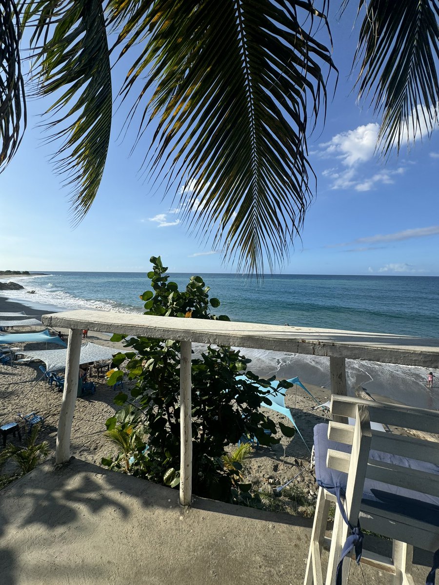 Jesus A. Castillo F. tweet media