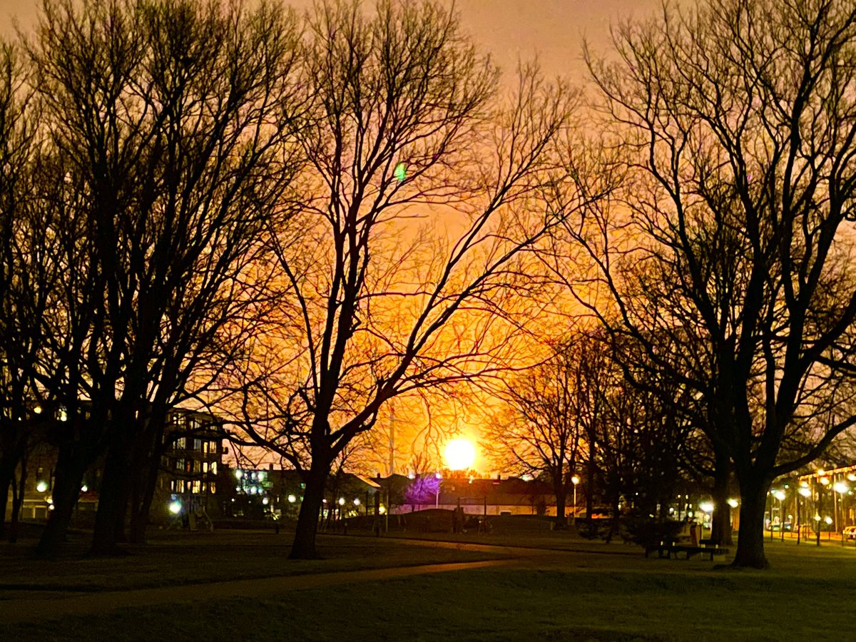 Johan Zwakman tweet media