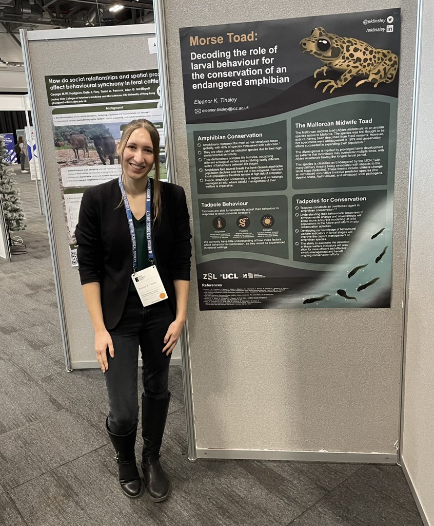 Eleanor K. Tinsley tweet media