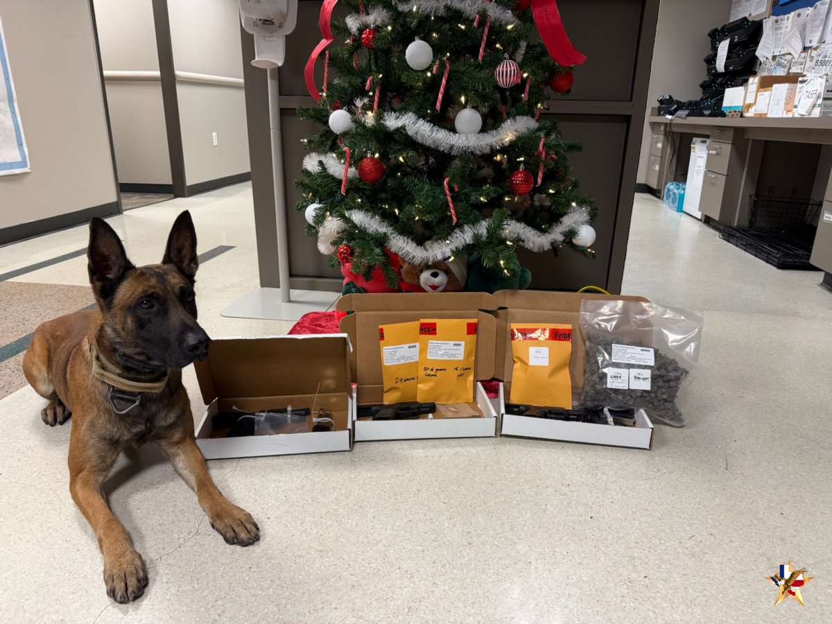 DeSoto Police Department tweet media