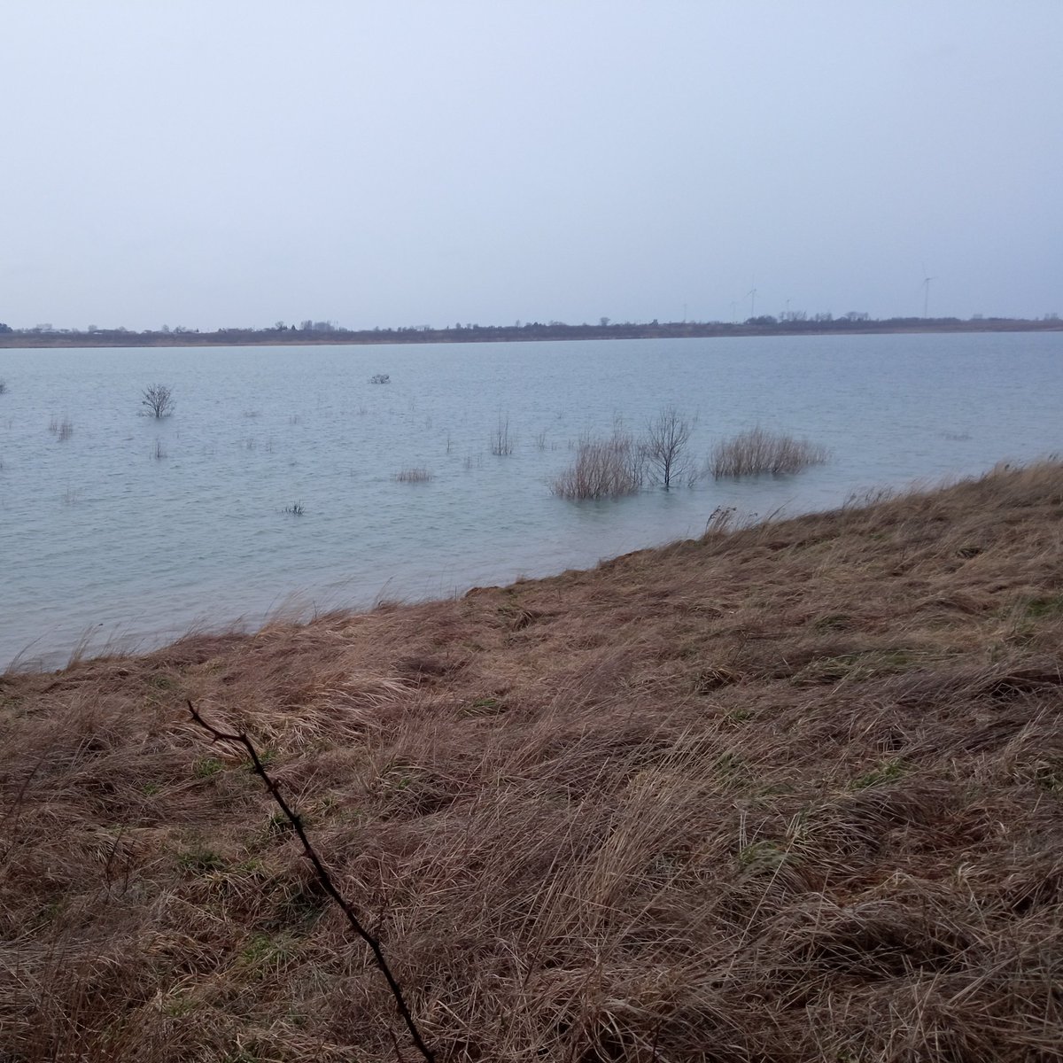 adam_krzyminski's tweet image. #NoweZdjecieProfilowe