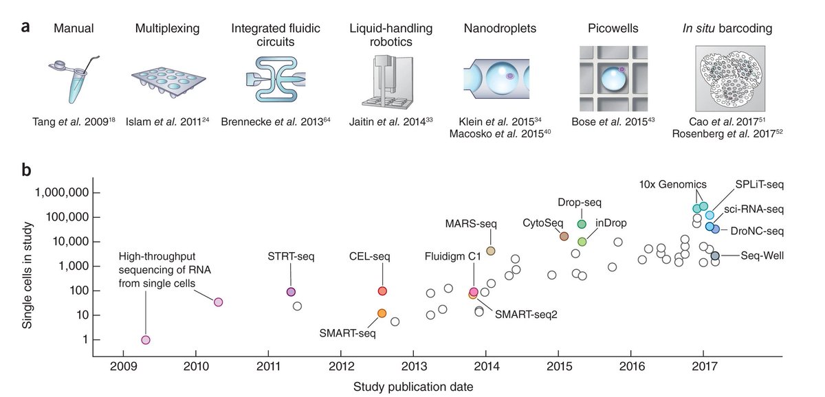 pierreboyeau's tweet image. Does anybody know of an updated chart of the evolution of single-cell study/metastudy sizes? @vallens