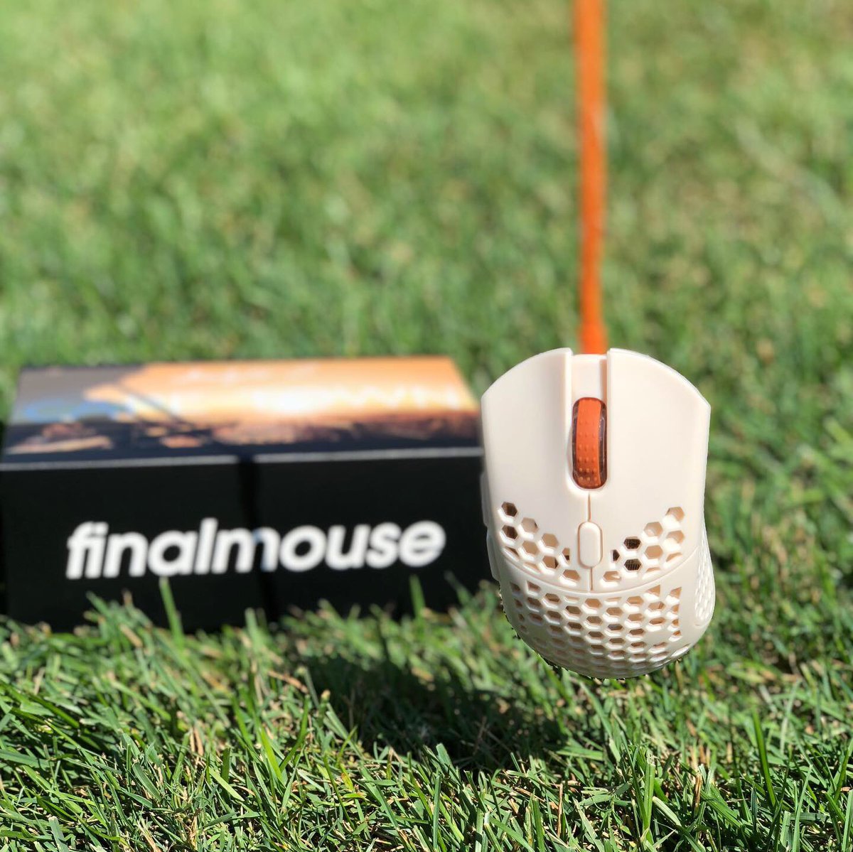 saltytv_'s tweet photo. Do you guys want my extra @finalmouse https://t.co/30BxLTsTvk