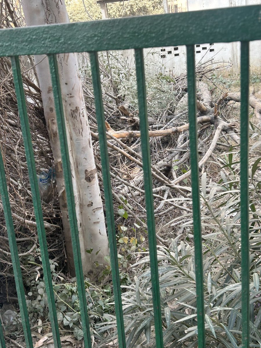 <a href="/OfficialGNIDA/">Greater Noida Industrial Development Authority</a> बिसरख छोटी मिल्क गाँव में चल रहे प्राथमिक स्कूल में <a href="/Oracle/">Oracle</a> द्वारा वाटर हार्वेस्टिंग का प्लांट लगाया गया है और गड्ढे बन गये है  कई महीने हो गए शिकायत के बाद भी कुछ सुधार नहीं हुआ, स्कूल के बच्चे लगातार चोटिल होते रहते है।<a href="/dmgbnagar/">DM G.B. Nagar/NOIDA</a> <a href="/GBNVikasSamiti/">गौतमबुद्ध नगर विकास समिति</a> <a href="/PrernaSinghIAS/">Prerna Singh</a>