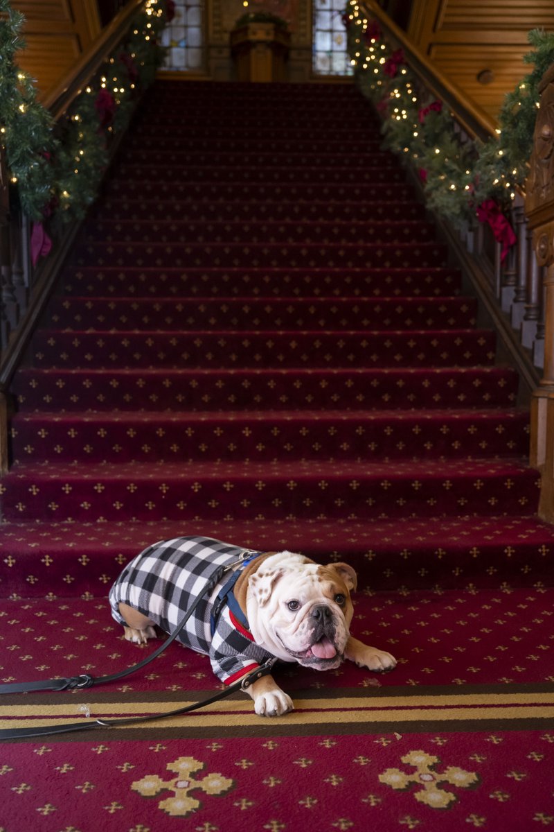 Outfit so cute we had to share it twice 😍 🎄