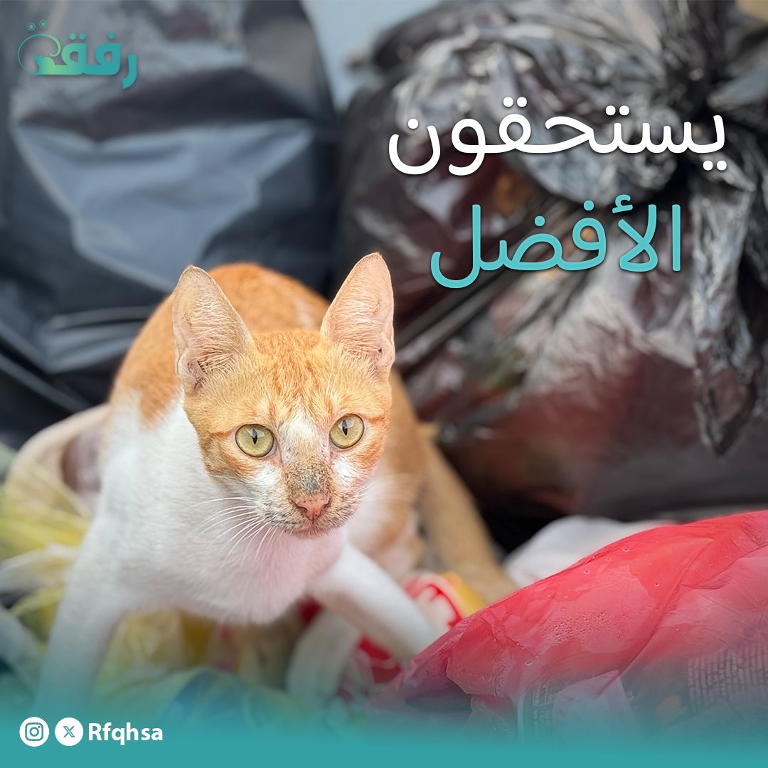 Rfqhsa's tweet photo. رفقنا يغير حيتاهم للأفضل❤️.
#كن_صوت_لمن_لا_صوت_له #رفقة https://t.co/HdGnkQncNI