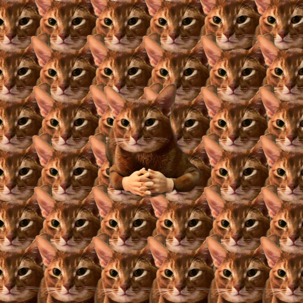 GRINCH 🔺 tweet media