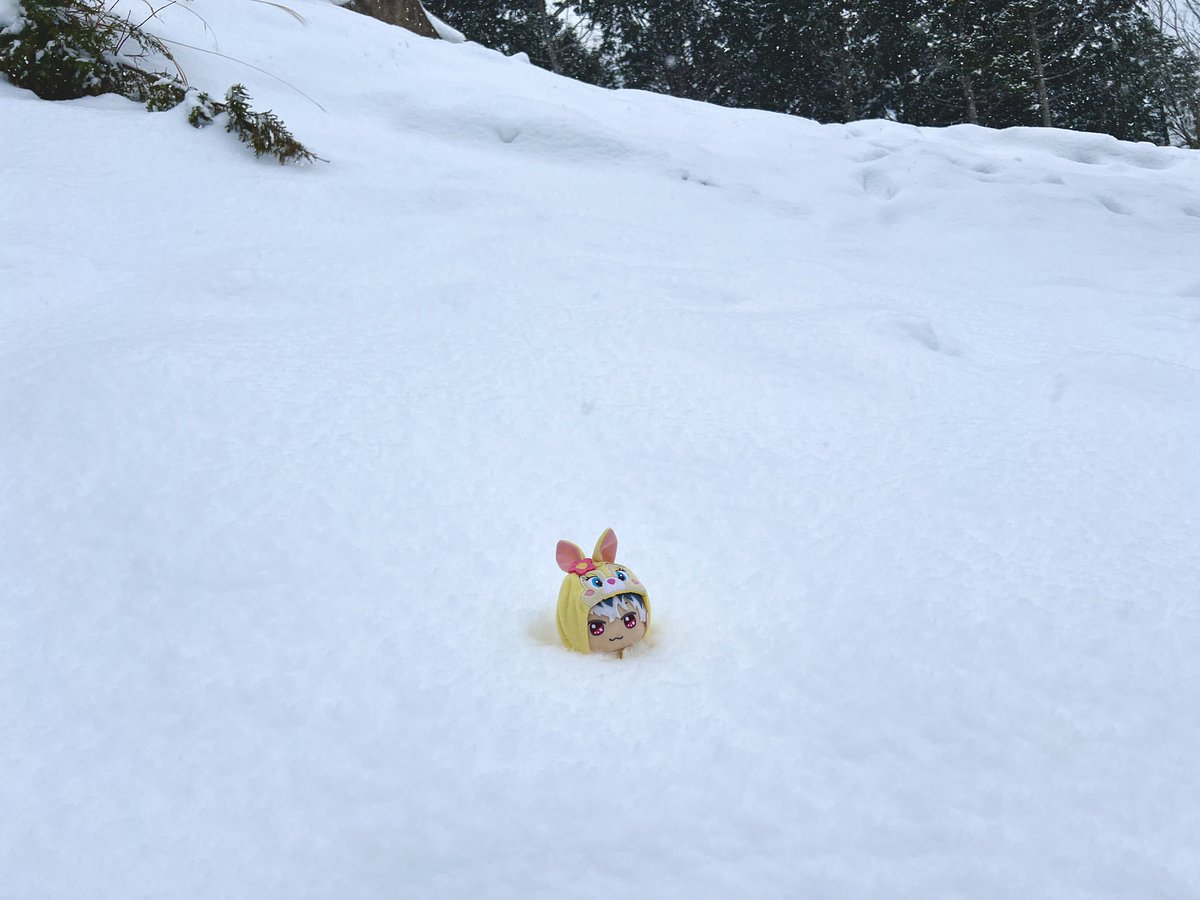 まるう tweet media