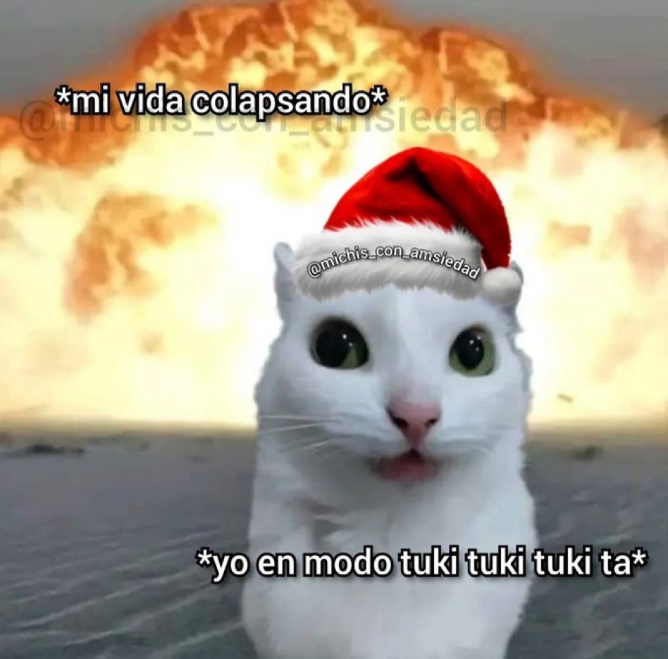 DiloConGatitoz's tweet photo. En 2 miércoles es Navidad 🎄 https://t.co/wAFbZo0bdh