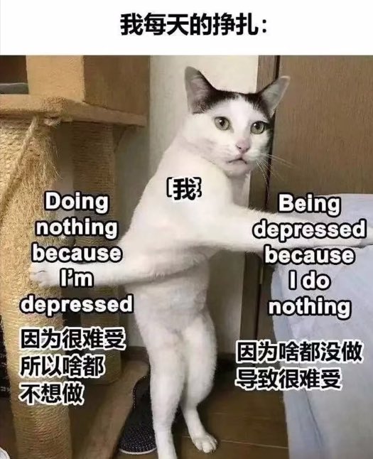 因为很懒所以啥都不想做
因为啥都没做导致很懒