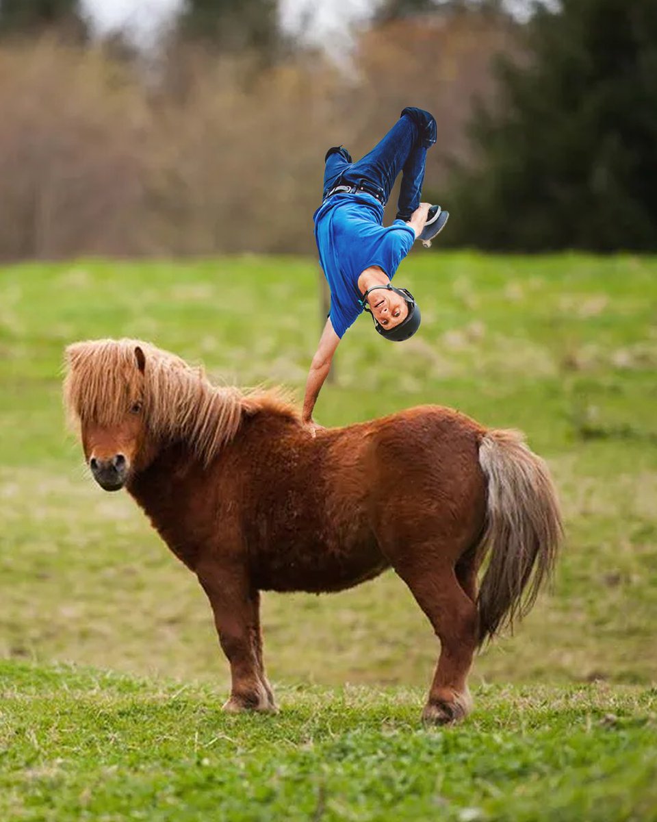 NXTbets's tweet photo. You’ve heard of Elf on the Shelf, but have you heard of… https://t.co/FgHWtvGYlb
