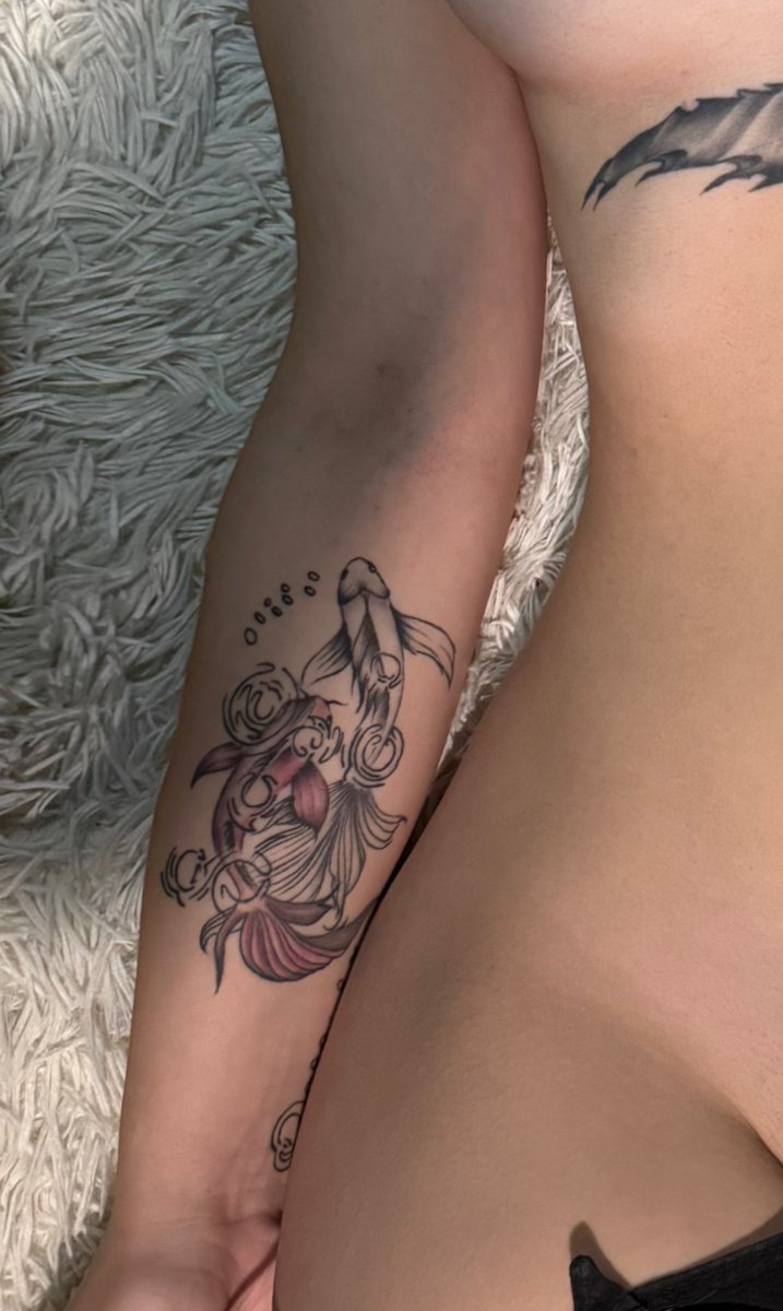 maneki ₊˚⊹♡ tweet media