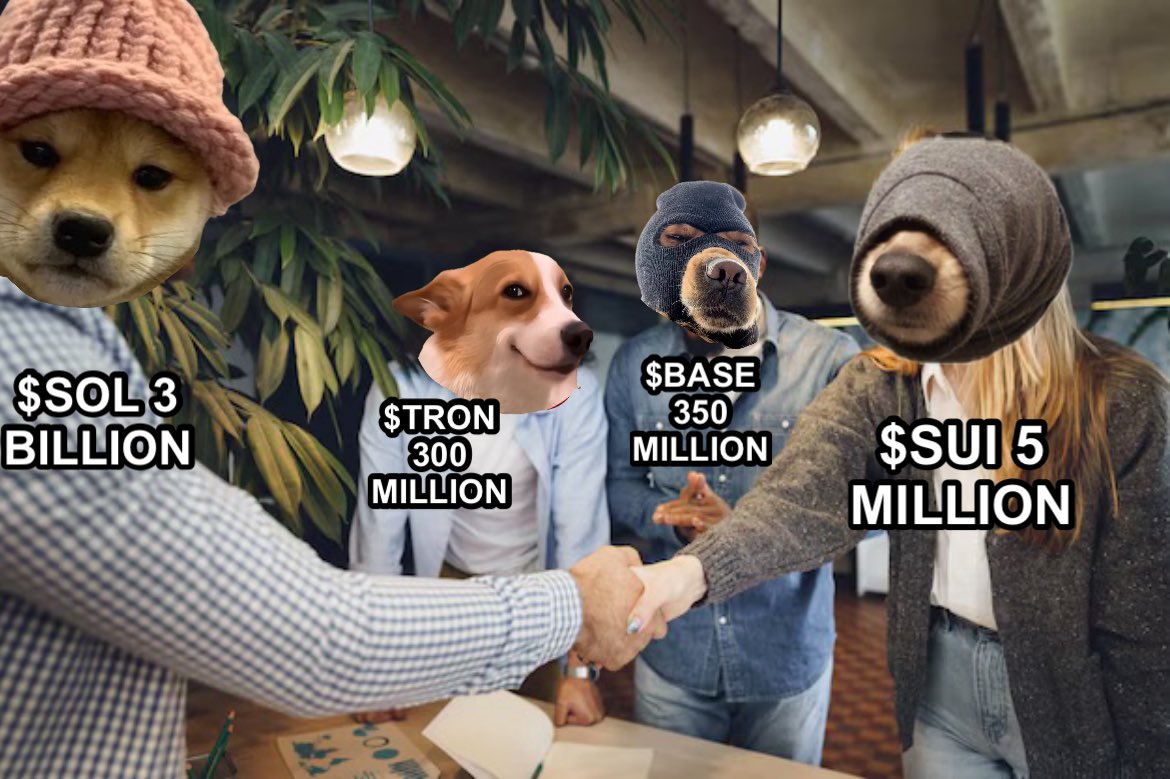 @SogOnSui Perspective…

Top Degen dog memes on each chain 

$SOL $WIF
$TRON $SUNDOG
$BASE $SKI
$SUI $SOG